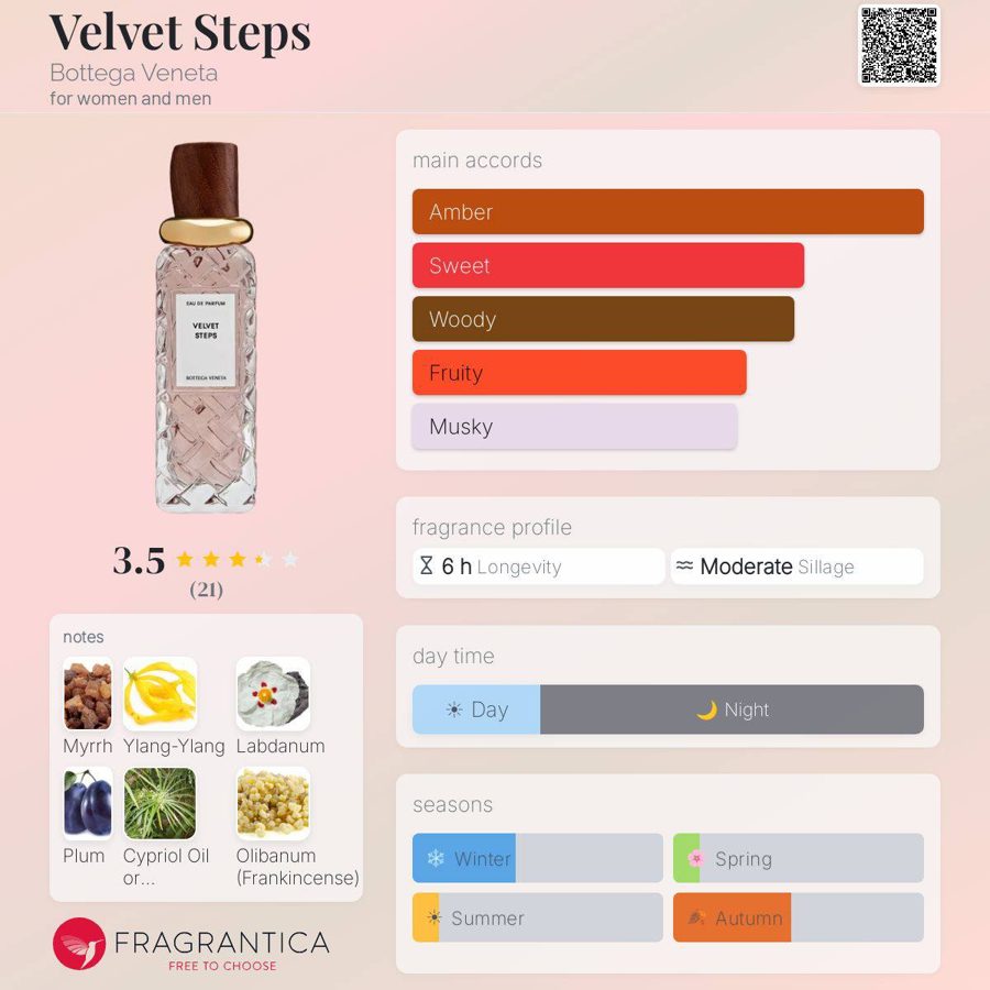 Bottega Veneta Velvet Steps
